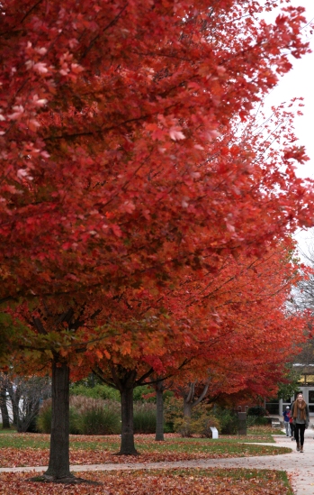 Fall at Drake University